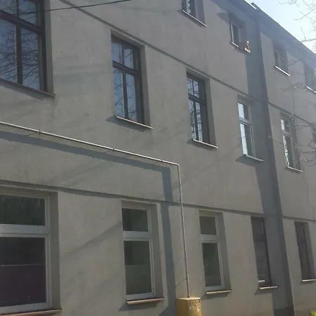 N°10 *